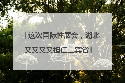 这次国际性展会，湖北又又又又担任主宾省