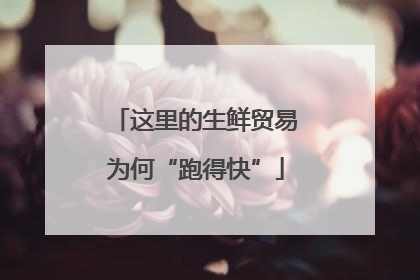 这里的生鲜贸易为何“跑得快”