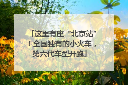 这里有座“北京站”！全国独有的小火车，第六代车型开跑