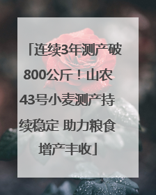 连续3年测产破800公斤！山农43号小麦测产持续稳定 助力粮食增产丰收