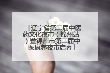 辽宁省第二届中医药文化夜市（锦州站）暨锦州市第二届中医康养夜市启幕