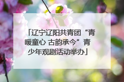 辽宁辽阳共青团“青暖童心 古韵承今”青少年观剧活动举办