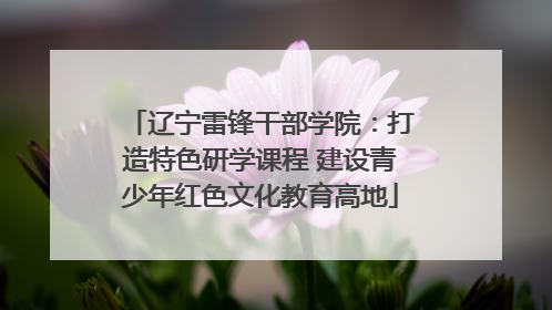 辽宁雷锋干部学院：打造特色研学课程 建设青少年红色文化教育高地