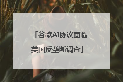 谷歌AI协议面临美国反垄断调查