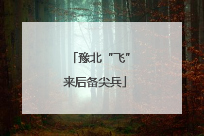 豫北“飞”来后备尖兵