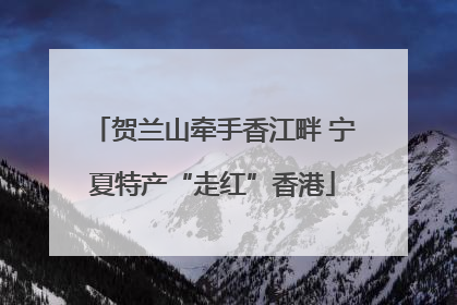 贺兰山牵手香江畔 宁夏特产“走红”香港