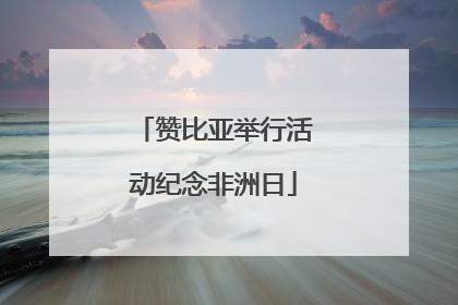 赞比亚举行活动纪念非洲日