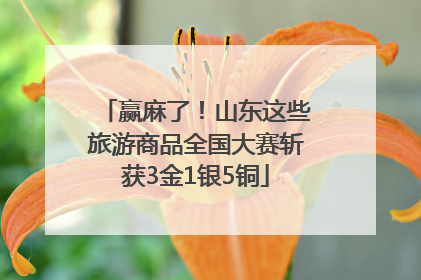 赢麻了！山东这些旅游商品全国大赛斩获3金1银5铜