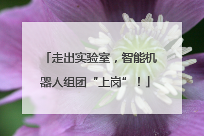 走出实验室，智能机器人组团“上岗”！