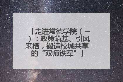 走进常德学院（三）：政策筑基、引凤来栖，锻造校城共享的“双师铁军”