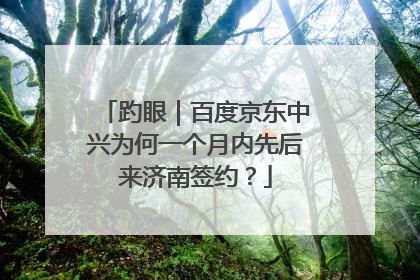 趵眼｜百度京东中兴为何一个月内先后来济南签约？