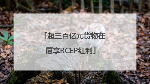 超三百亿元货物在厦享RCEP红利