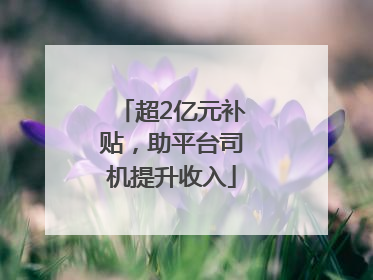 超2亿元补贴，助平台司机提升收入