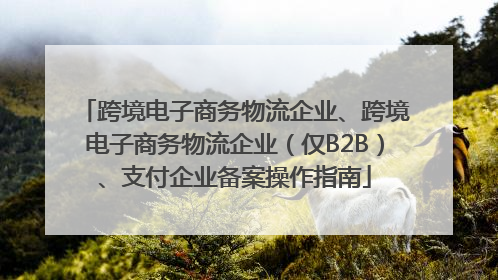 跨境电子商务物流企业、跨境电子商务物流企业（仅B2B）、支付企业备案操作指南