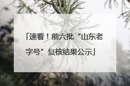 速看！前六批“山东老字号”复核结果公示