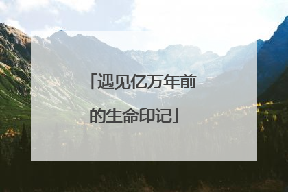遇见亿万年前的生命印记