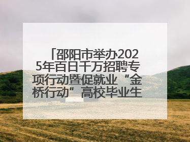 邵阳市举办2025年百日千万招聘专项行动暨促就业“金桥行动”高校毕业生专场招聘会