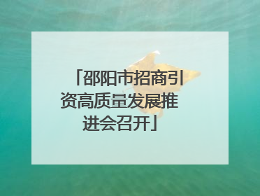 邵阳市招商引资高质量发展推进会召开
