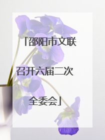 邵阳市文联召开六届二次全委会