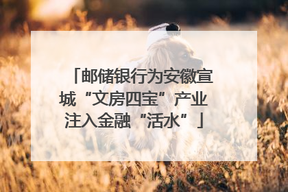 邮储银行为安徽宣城“文房四宝”产业注入金融“活水”