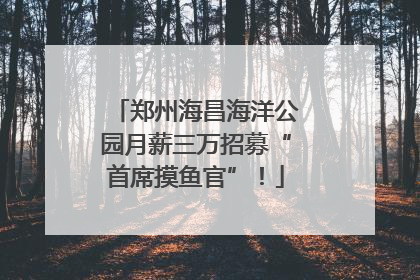 郑州海昌海洋公园月薪三万招募“首席摸鱼官”！