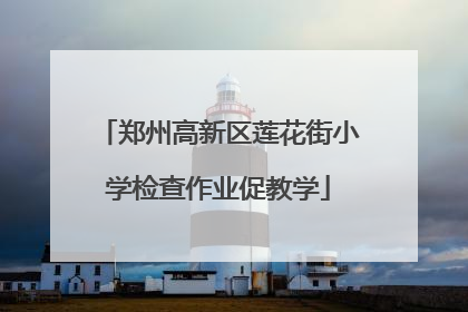 郑州高新区莲花街小学检查作业促教学