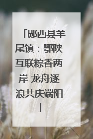 郧西县羊尾镇：鄂陕互联粽香两岸 龙舟逐浪共庆端阳