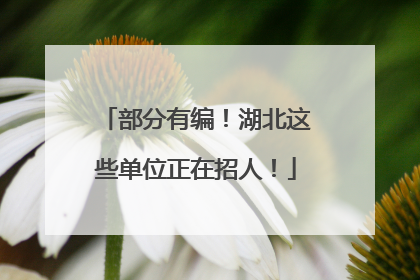 部分有编！湖北这些单位正在招人！