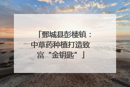 鄄城县彭楼镇:中草药种植打造致富“金钥匙”