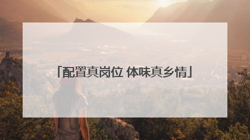 配置真岗位 体味真乡情
