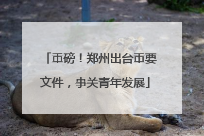 重磅！郑州出台重要文件，事关青年发展