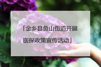 金乡县鱼山街道开展医保政策宣传活动