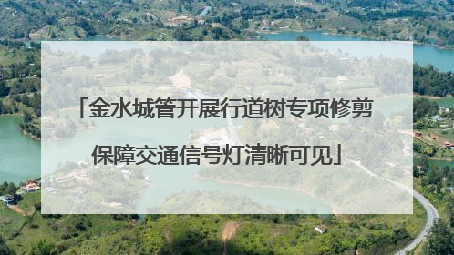 金水城管开展行道树专项修剪 保障交通信号灯清晰可见