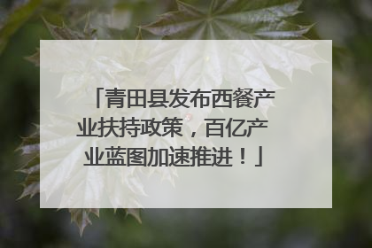 青田县发布西餐产业扶持政策，百亿产业蓝图加速推进！