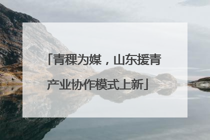 青稞为媒，山东援青产业协作模式上新