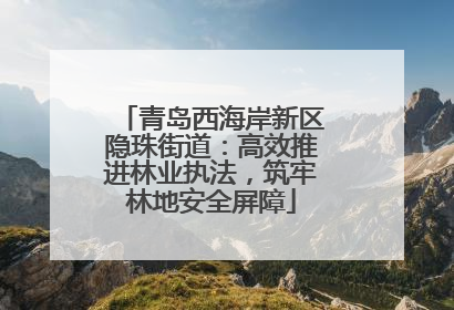 青岛西海岸新区隐珠街道：高效推进林业执法，筑牢林地安全屏障