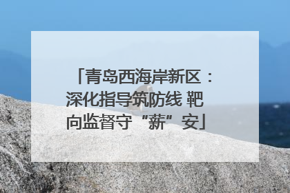 青岛西海岸新区：深化指导筑防线 靶向监督守“薪”安