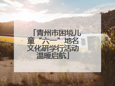 青州市困境儿童“六一”地名文化研学行活动温暖启航