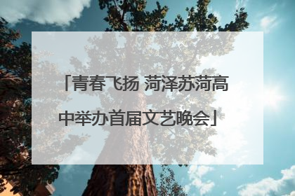 青春飞扬 菏泽苏菏高中举办首届文艺晚会
