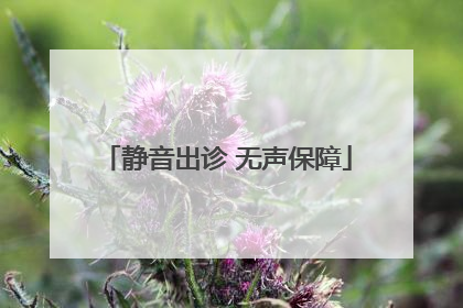 静音出诊 无声保障