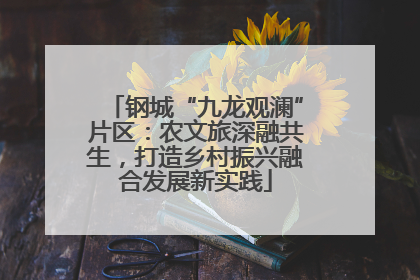 钢城“九龙观澜”片区：农文旅深融共生，打造乡村振兴融合发展新实践