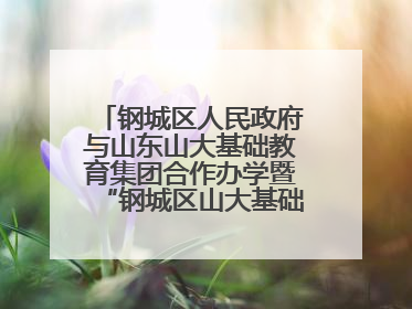 钢城区人民政府与山东山大基础教育集团合作办学暨“钢城区山大基础教育品质提升联盟”签约揭牌活动举行