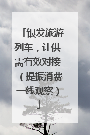 银发旅游列车，让供需有效对接（提振消费一线观察）