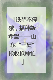 铁犁不停歇，播种新希望——山东“三夏”抢收抢种忙