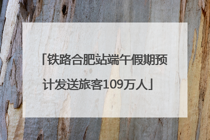 铁路合肥站端午假期预计发送旅客109万人