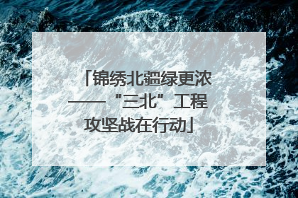 锦绣北疆绿更浓——“三北”工程攻坚战在行动