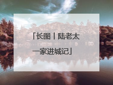 长图丨陆老太一家进城记