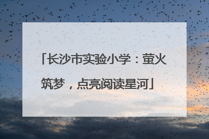 长沙市实验小学：萤火筑梦，点亮阅读星河