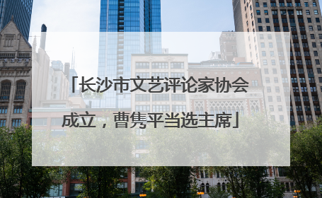 长沙市文艺评论家协会成立，曹隽平当选主席