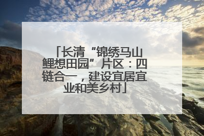 长清“锦绣马山 鲤想田园”片区：四链合一，建设宜居宜业和美乡村